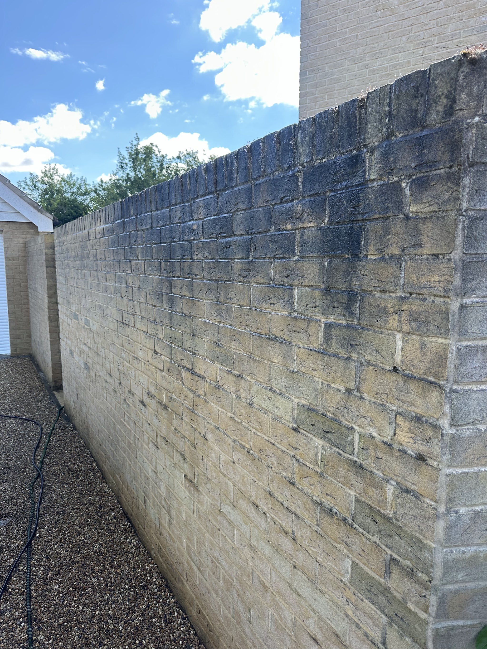 A long brick garden wall partway through being cleaned